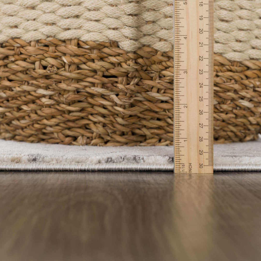 Beige, Gray and Charcoal Antique look Traditional Design area rug - The Rug Decor