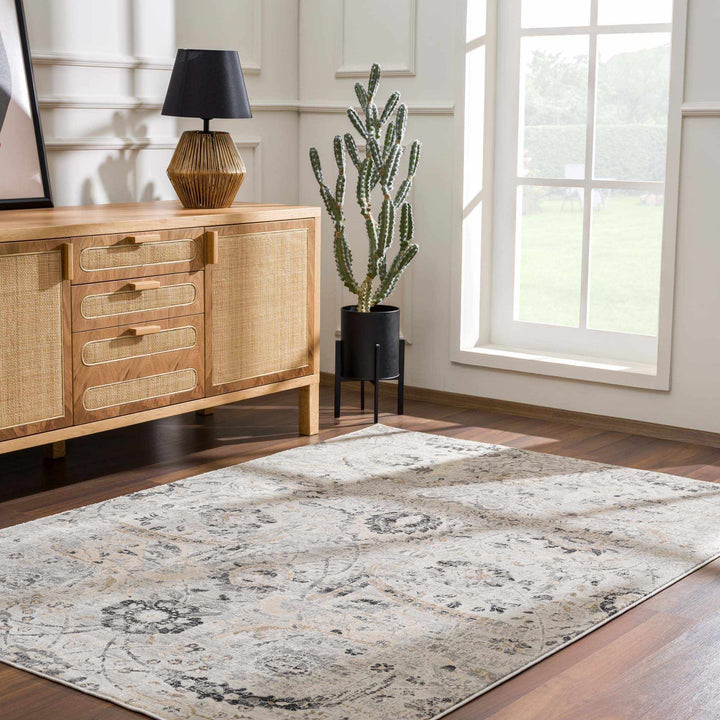Beige, Gray and Charcoal Antique look Traditional Design area rug - The Rug Decor