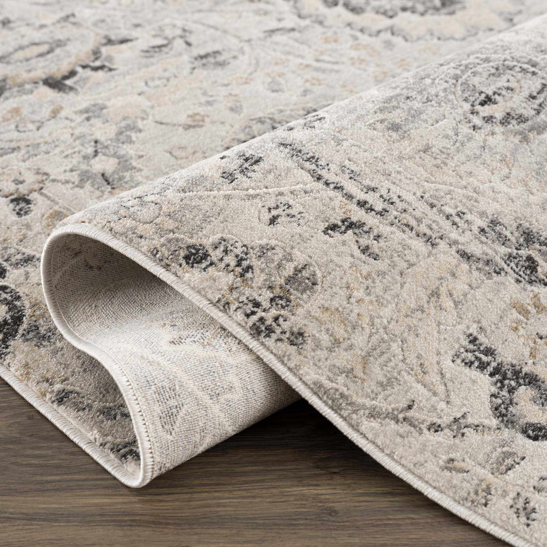 Beige, Gray and Charcoal Antique look Traditional Design area rug - The Rug Decor