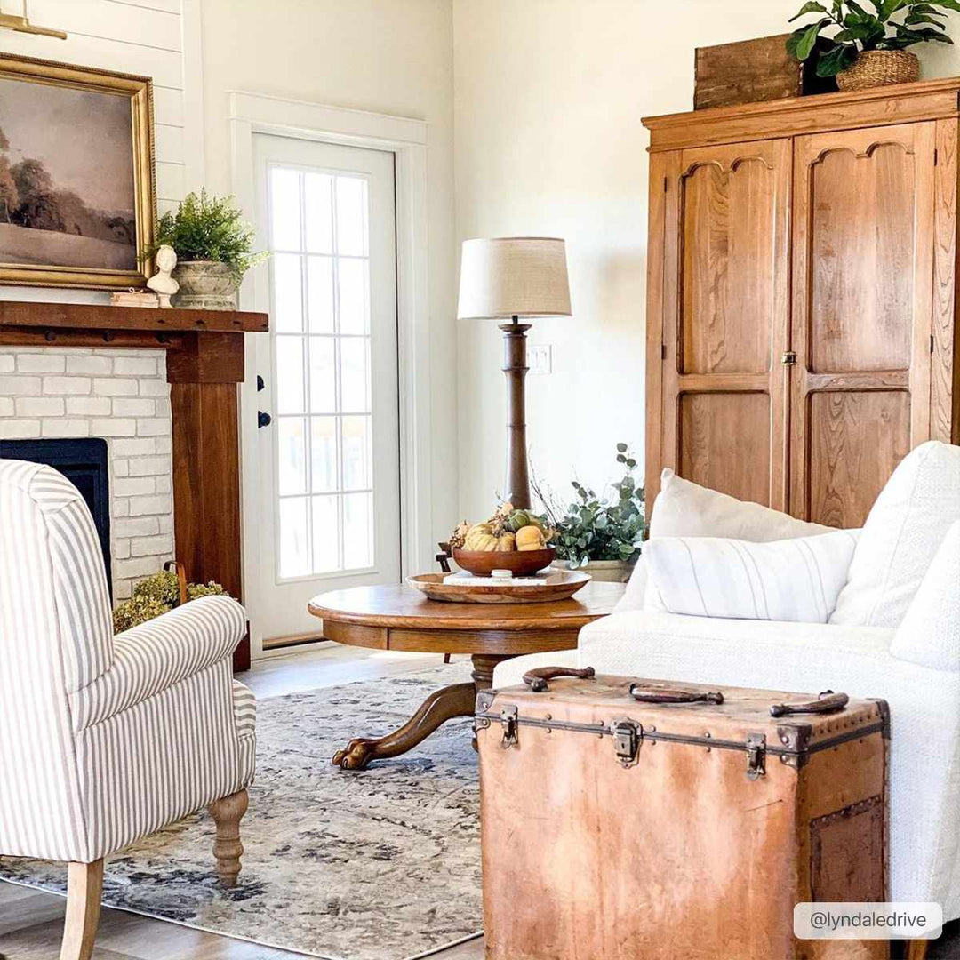 Beige, Gray and Charcoal Antique look Traditional Design area rug - The Rug Decor