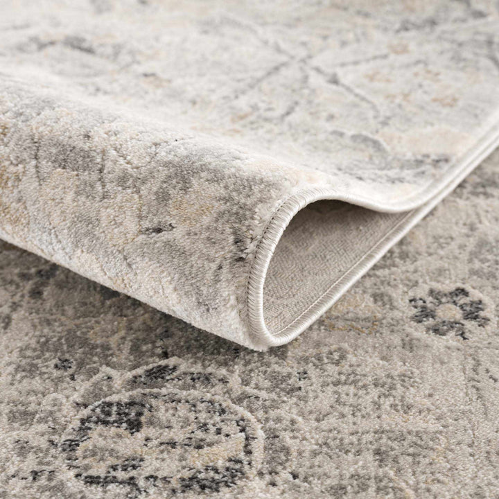 Beige, Gray and Charcoal Antique look Traditional Design area rug - The Rug Decor