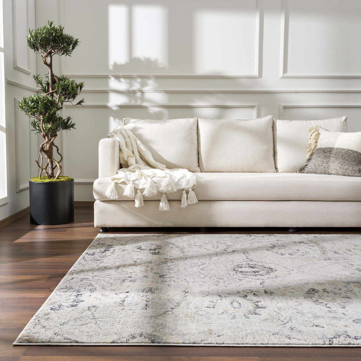 Beige, Gray and Charcoal Antique look Traditional Design area rug - The Rug Decor