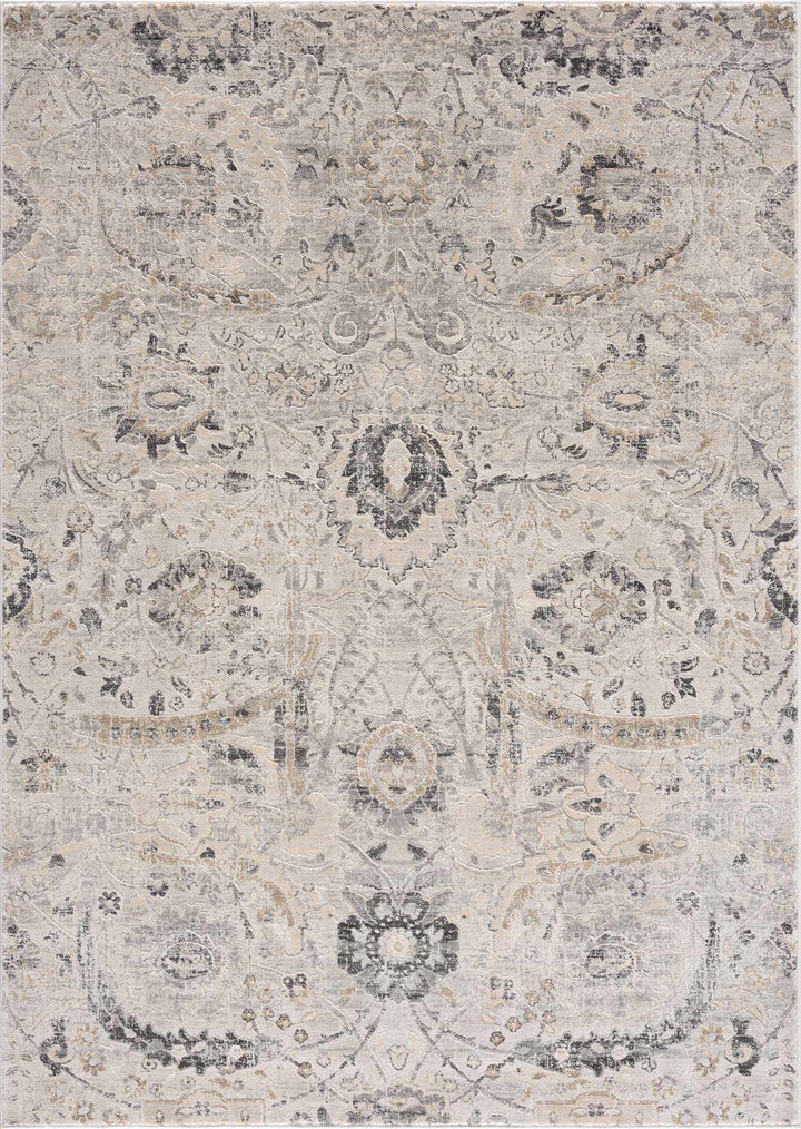 Beige, Gray and Charcoal Antique look Traditional Design area rug - The Rug Decor