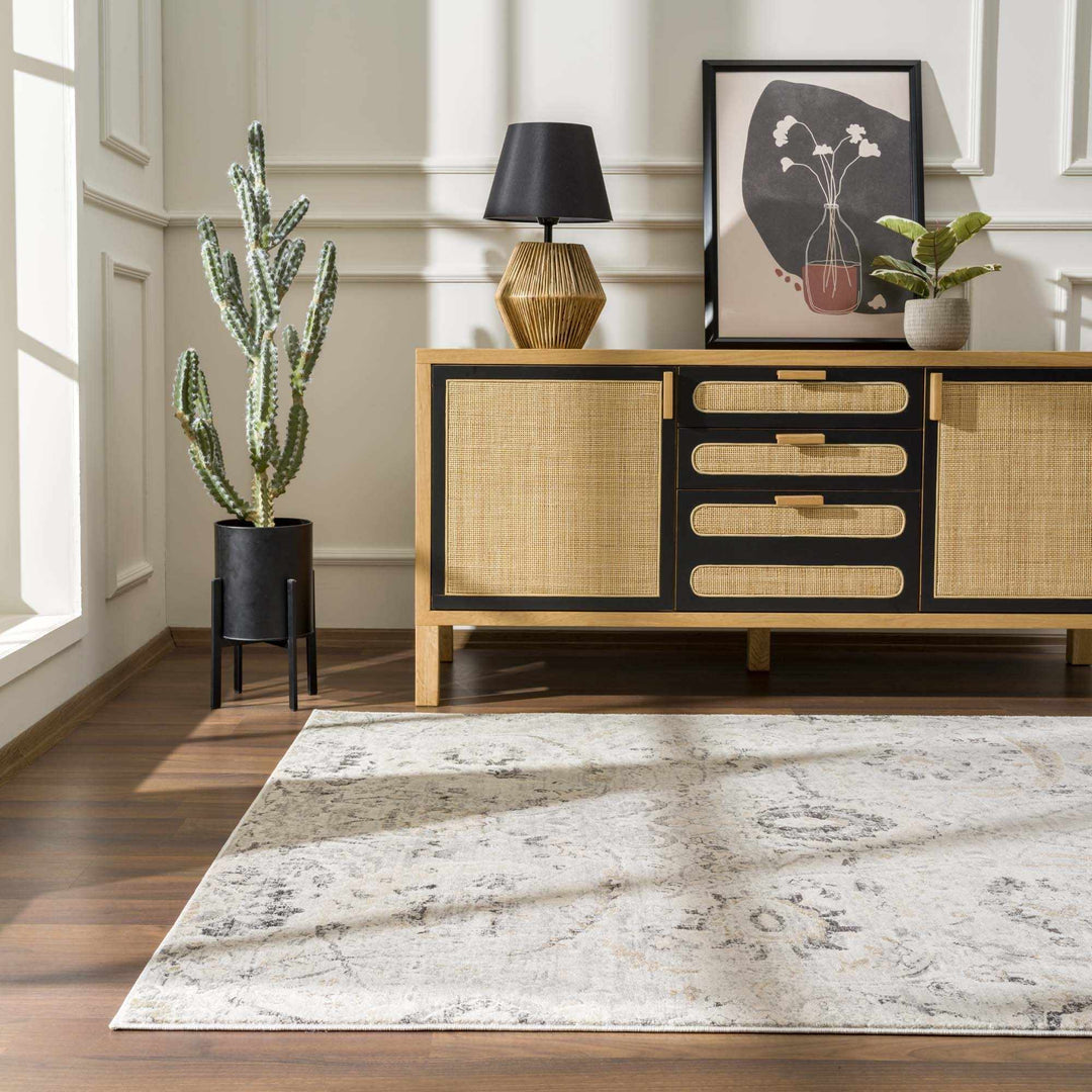 Beige, Gray and Charcoal Antique look Traditional Design area rug - The Rug Decor