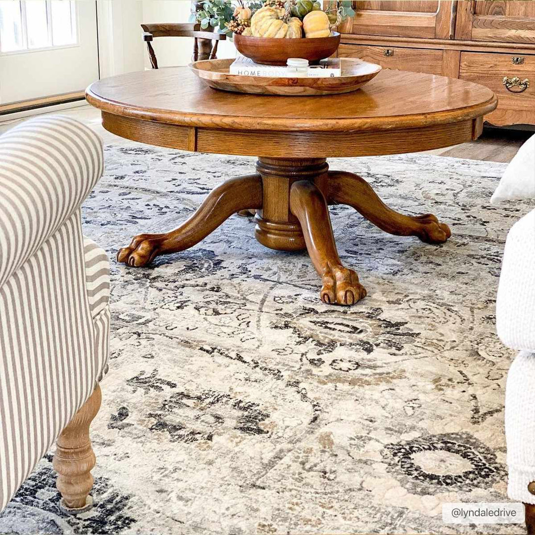 Beige, Gray and Charcoal Antique look Traditional Design area rug - The Rug Decor