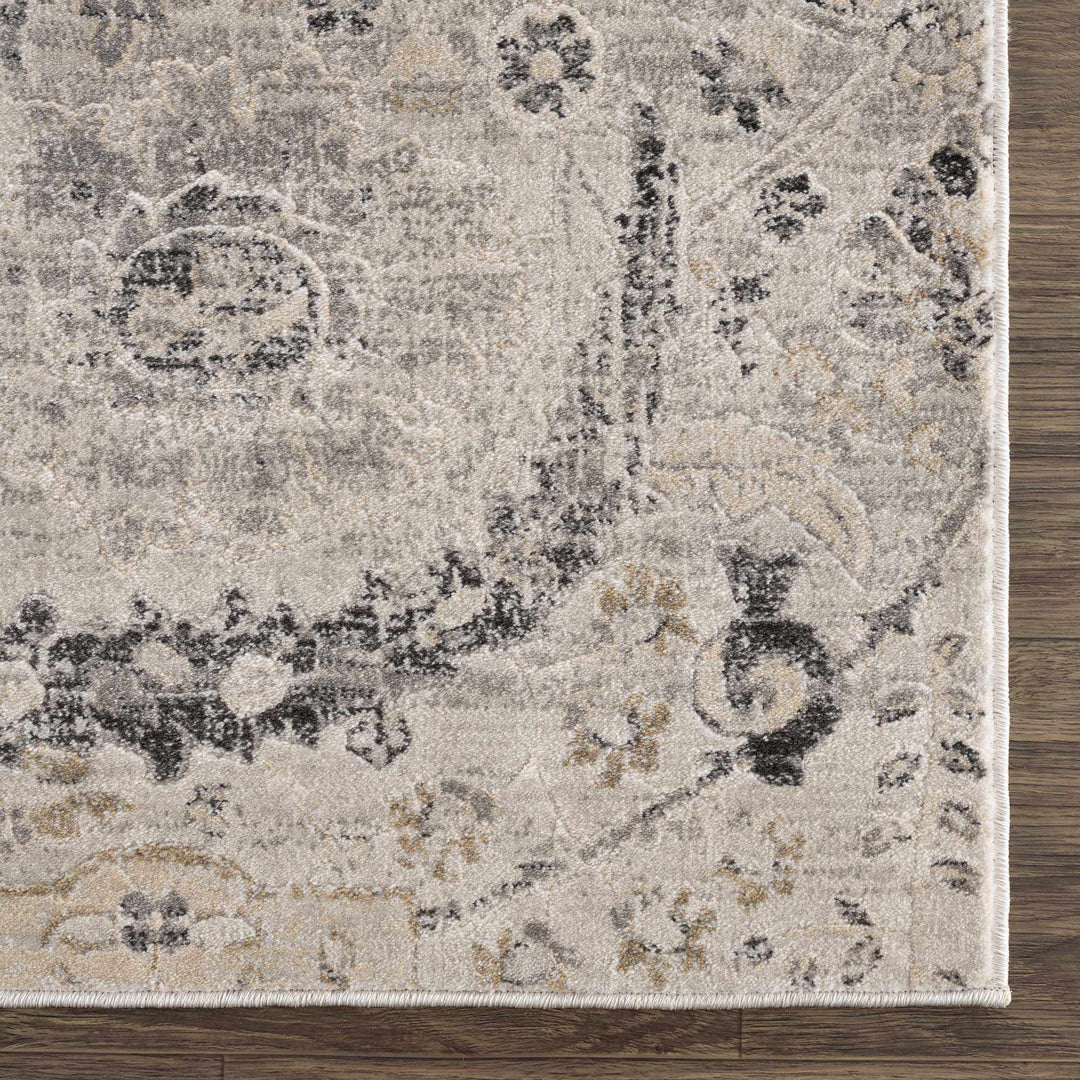 Beige, Gray and Charcoal Antique look Traditional Design area rug - The Rug Decor