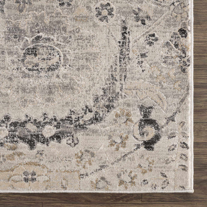 Beige, Gray and Charcoal Antique look Traditional Design area rug - The Rug Decor