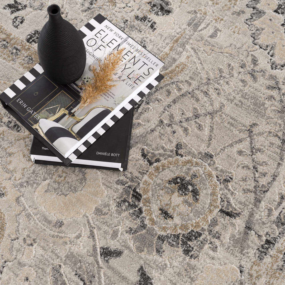 Beige, Gray and Charcoal Antique look Traditional Design area rug - The Rug Decor