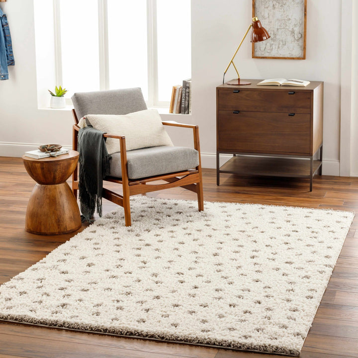 Contemporary Chaia Dotted Ivory and Brown Plush Pile Rug - The Rug Decor