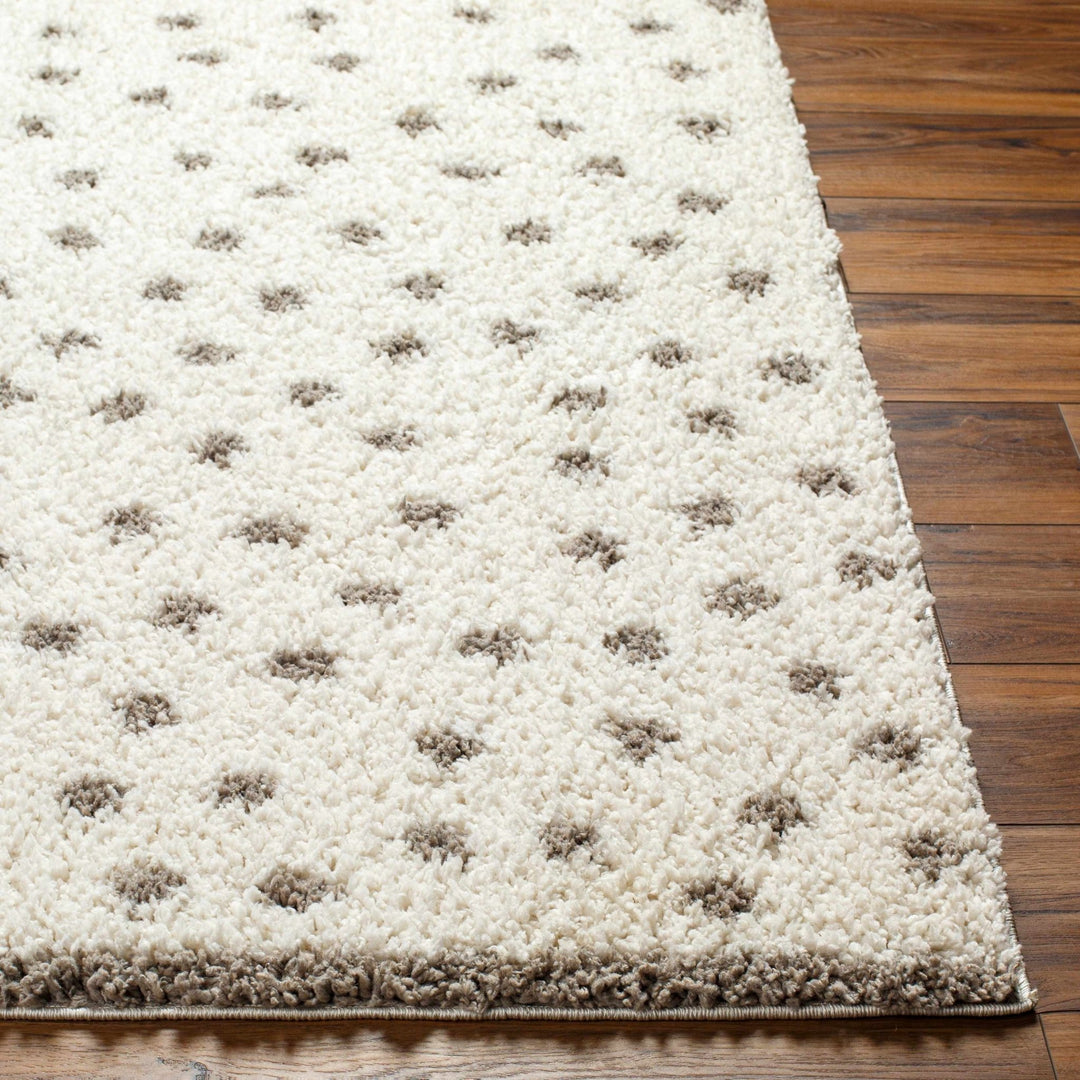 Contemporary Chaia Dotted Ivory and Brown Plush Pile Rug - The Rug Decor