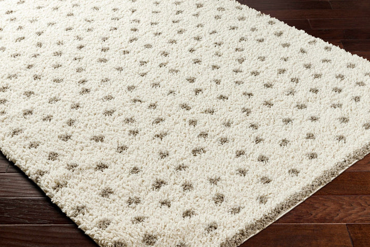 Contemporary Chaia Dotted Ivory and Brown Plush Pile Rug - The Rug Decor