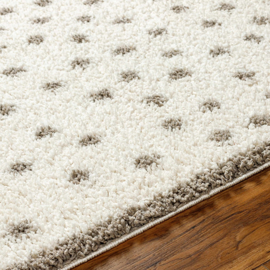 Contemporary Chaia Dotted Ivory and Brown Plush Pile Rug - The Rug Decor