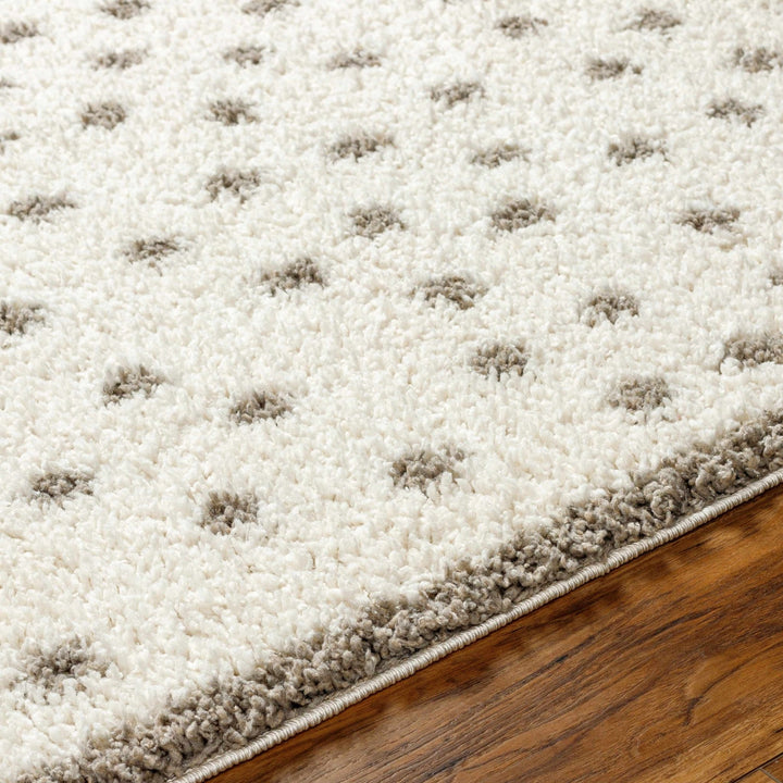 Contemporary Chaia Dotted Ivory and Brown Plush Pile Rug - The Rug Decor
