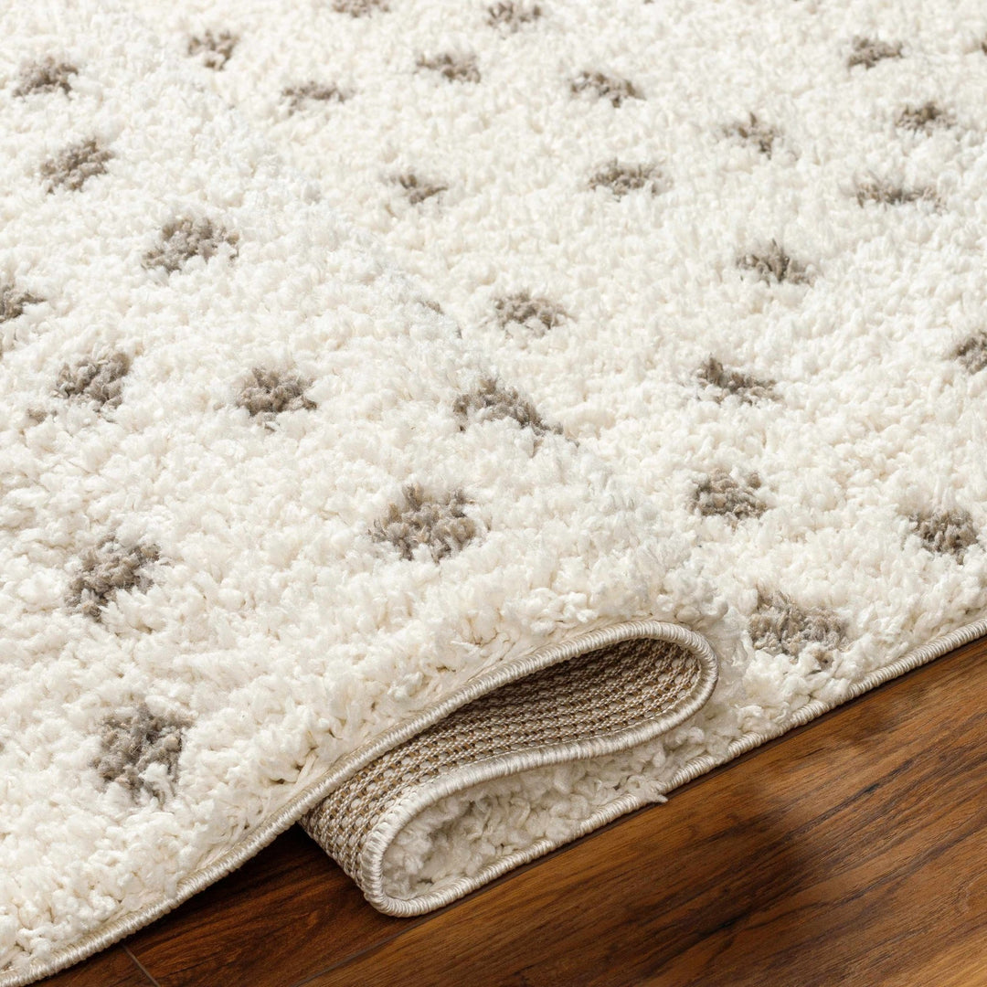 Contemporary Chaia Dotted Ivory and Brown Plush Pile Rug - The Rug Decor