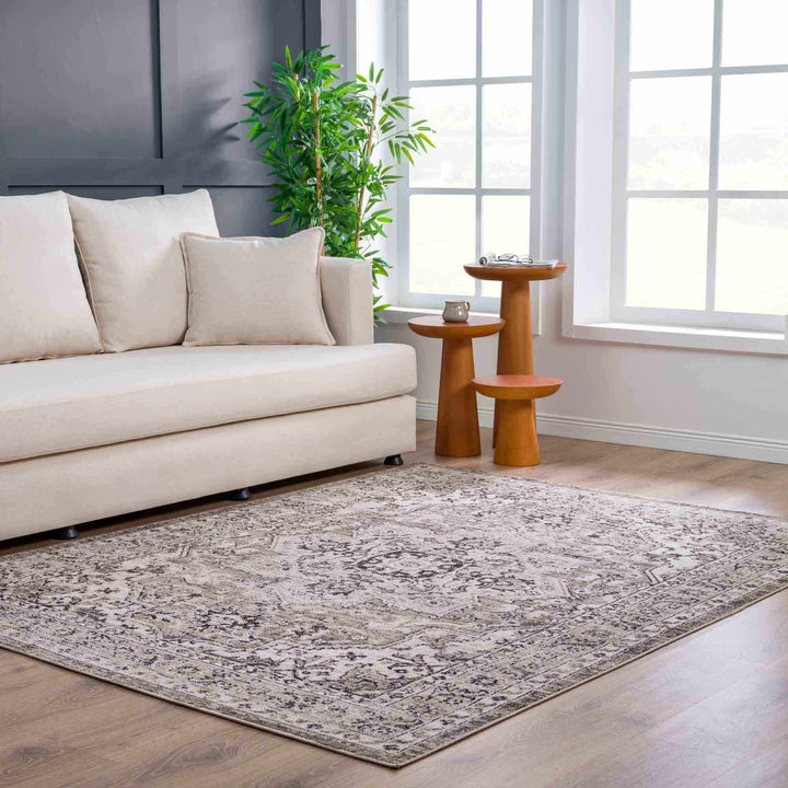 Medallion Light Pink, Ivory and Charcoal Traditional Heriz design Area Rug - The Rug Decor