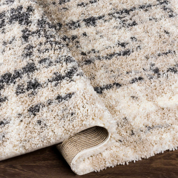 Modern Abstract Ivory and Charcoal Plush Pile Area Rug - The Rug Decor