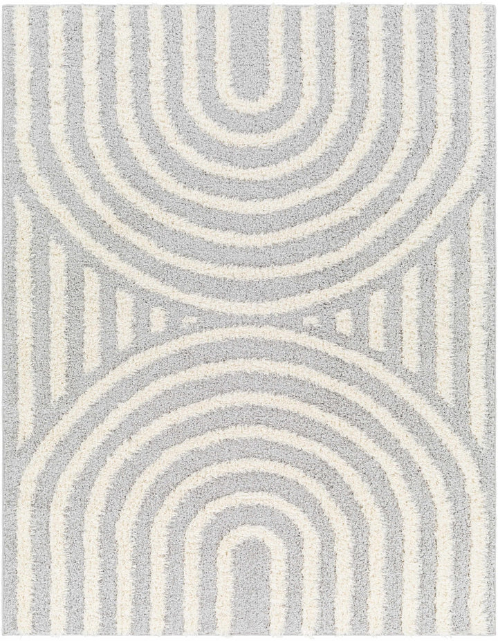Modern Contemporary Gray and Beige Plush Pile Machine Woven Area Rug - The Rug Decor
