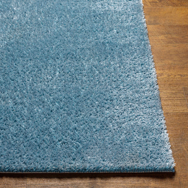 Modern Solid Light Blue Plush Pile Area Rug - The Rug Decor