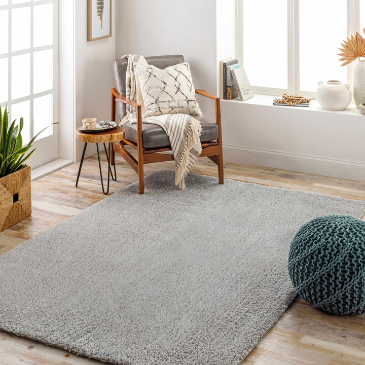 Modern Solid Silver Plush Pile Area Rug - The Rug Decor
