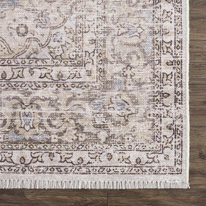 Premium Antique style Ivory, Beige and Brown Traditional Medallion Washable Area Rug - The Rug Decor