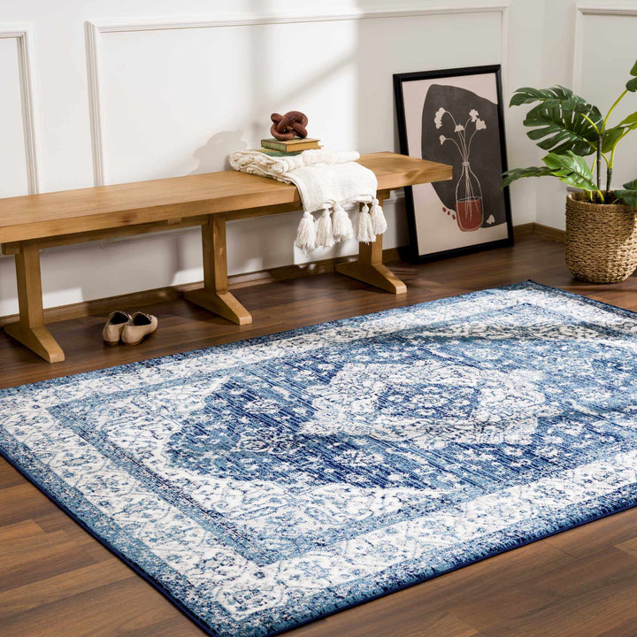 Premium look Blue and ivory Traditional Medallion Area Rug - The Rug Decor
