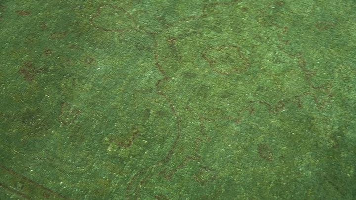 Hand Knotted Green Overdyed Traditional Oushak Design 9x12 Wool Area Rug