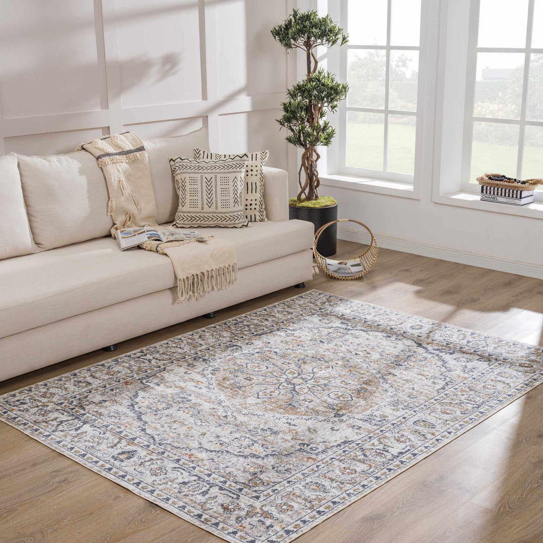 Silver, Charcoal and Beige Medallion Traditional Design Washable Area Rug - The Rug Decor