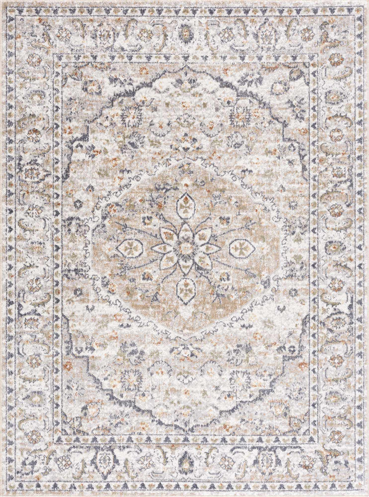 Silver, Charcoal and Beige Medallion Traditional Design Washable Area Rug - The Rug Decor