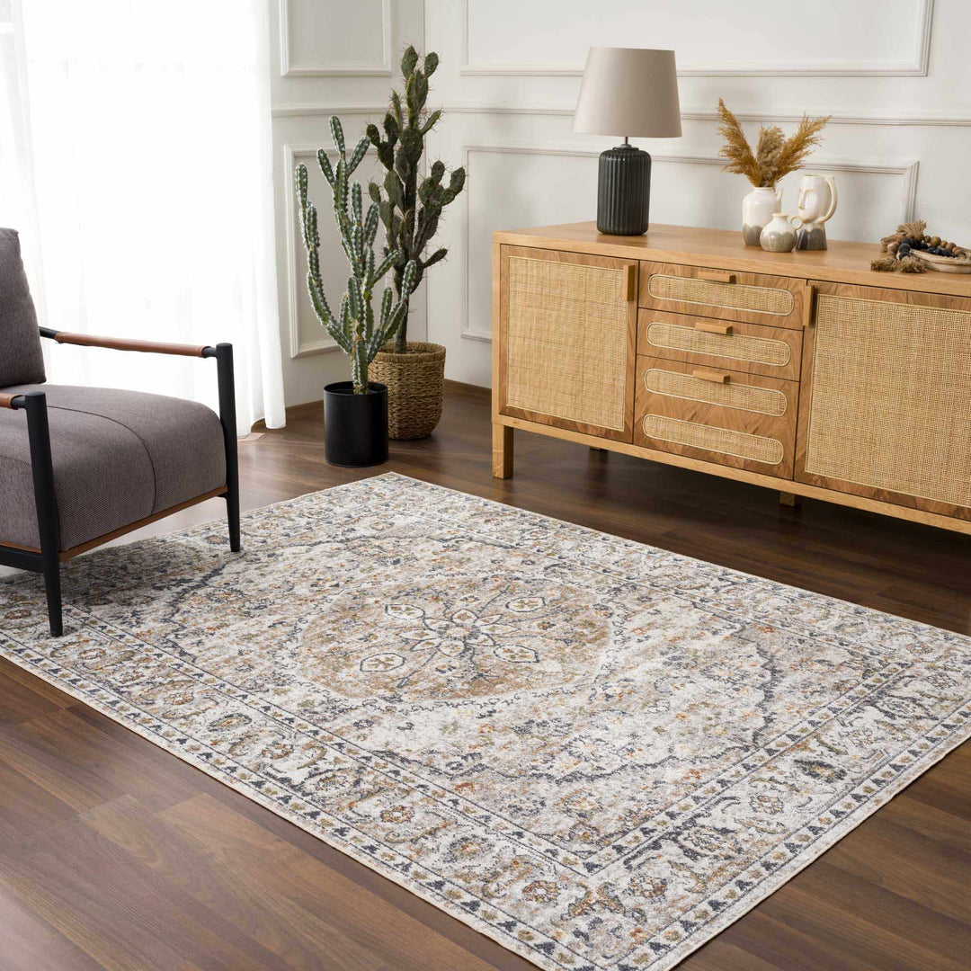 Silver, Charcoal and Beige Medallion Traditional Design Washable Area Rug - The Rug Decor