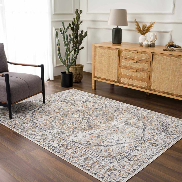 Silver, Charcoal and Beige Medallion Traditional Design Washable Area Rug - The Rug Decor