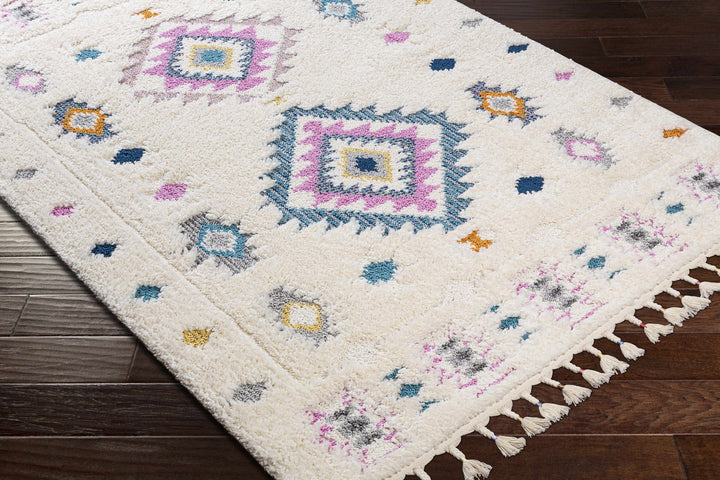 Textured Moroccan Style Ivory, Pink and Teal Traditional Design area rug - The Rug Decor