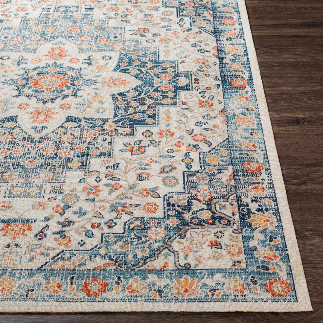Vintage Style Ivory, Blue and Peach Traditional Floral Medallion Outdoor Safe Area Rug - The Rug Decor