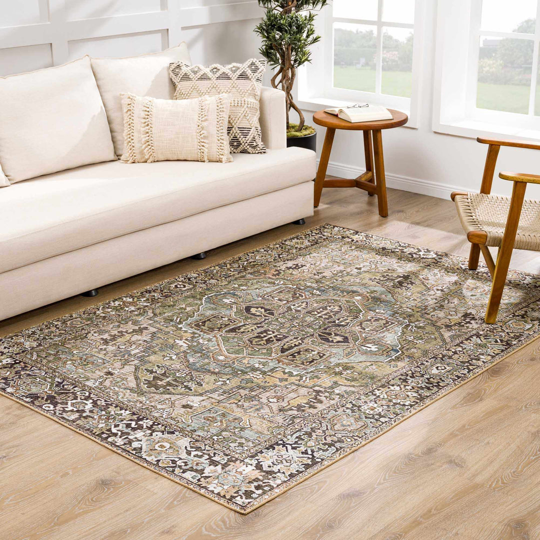 Vintage Style Traditional Heriz Medallion Green, Tan and Charcoal area rug - The Rug Decor