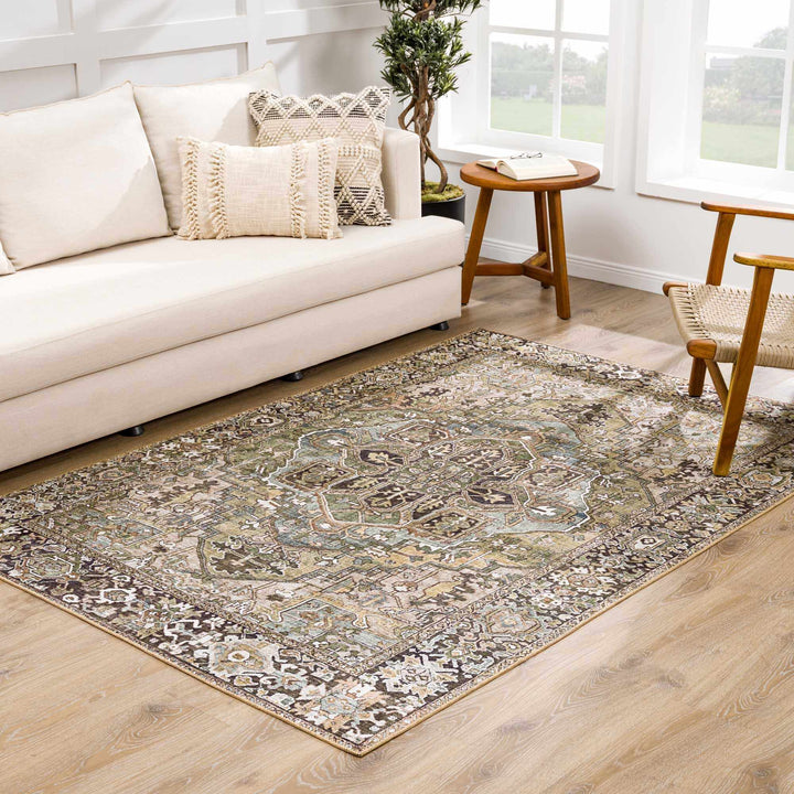 Vintage Style Traditional Heriz Medallion Green, Tan and Charcoal area rug - The Rug Decor