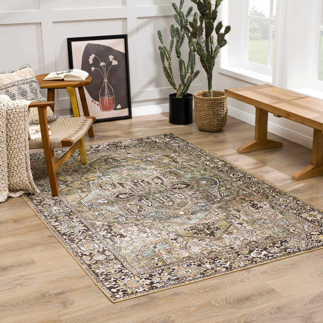 Vintage Style Traditional Heriz Medallion Green, Tan and Charcoal area rug - The Rug Decor