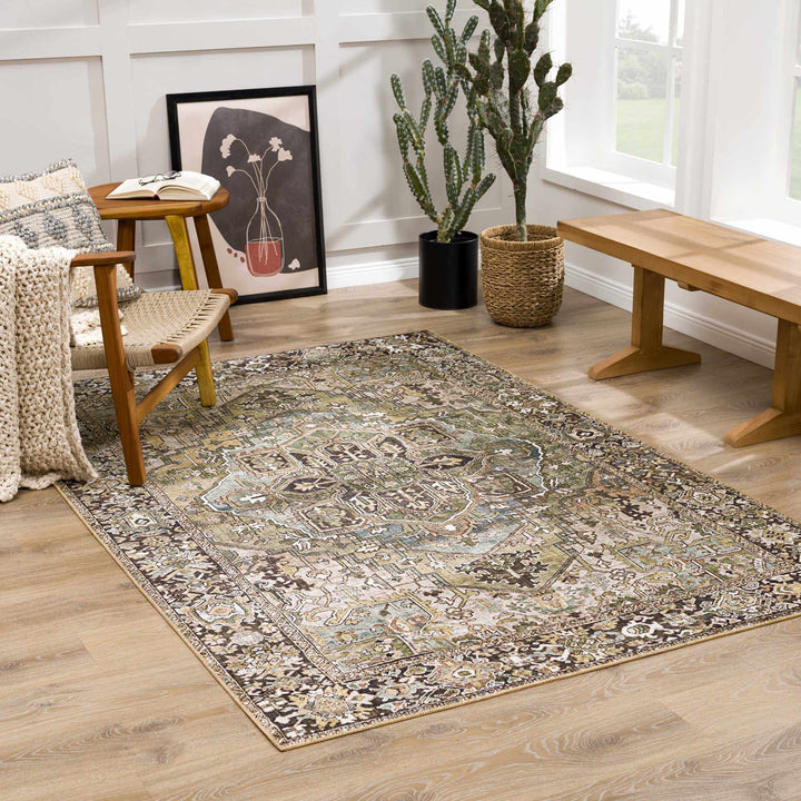 Vintage Style Traditional Heriz Medallion Green, Tan and Charcoal area rug - The Rug Decor