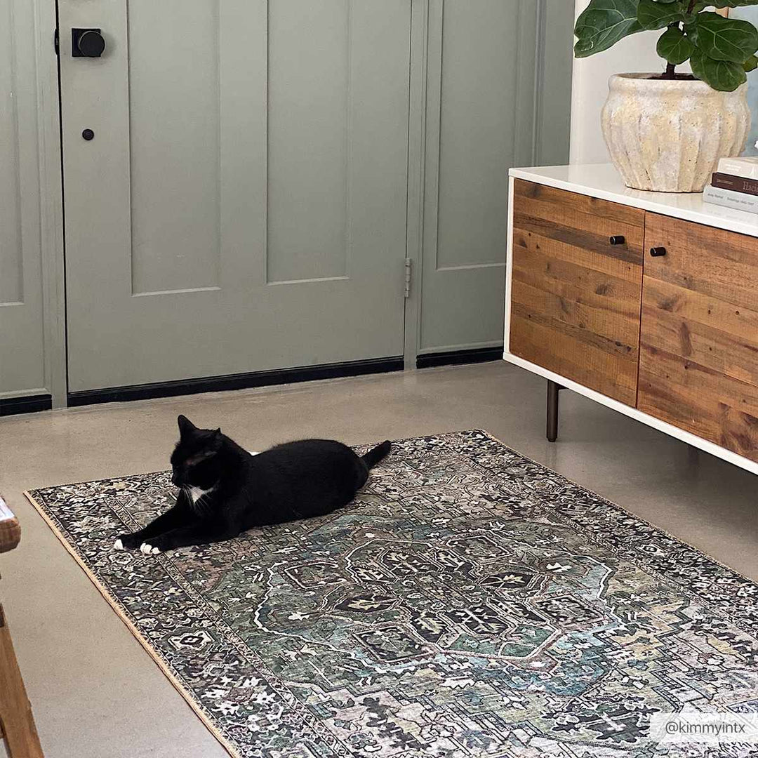 Vintage Style Traditional Heriz Medallion Green, Tan and Charcoal area rug - The Rug Decor