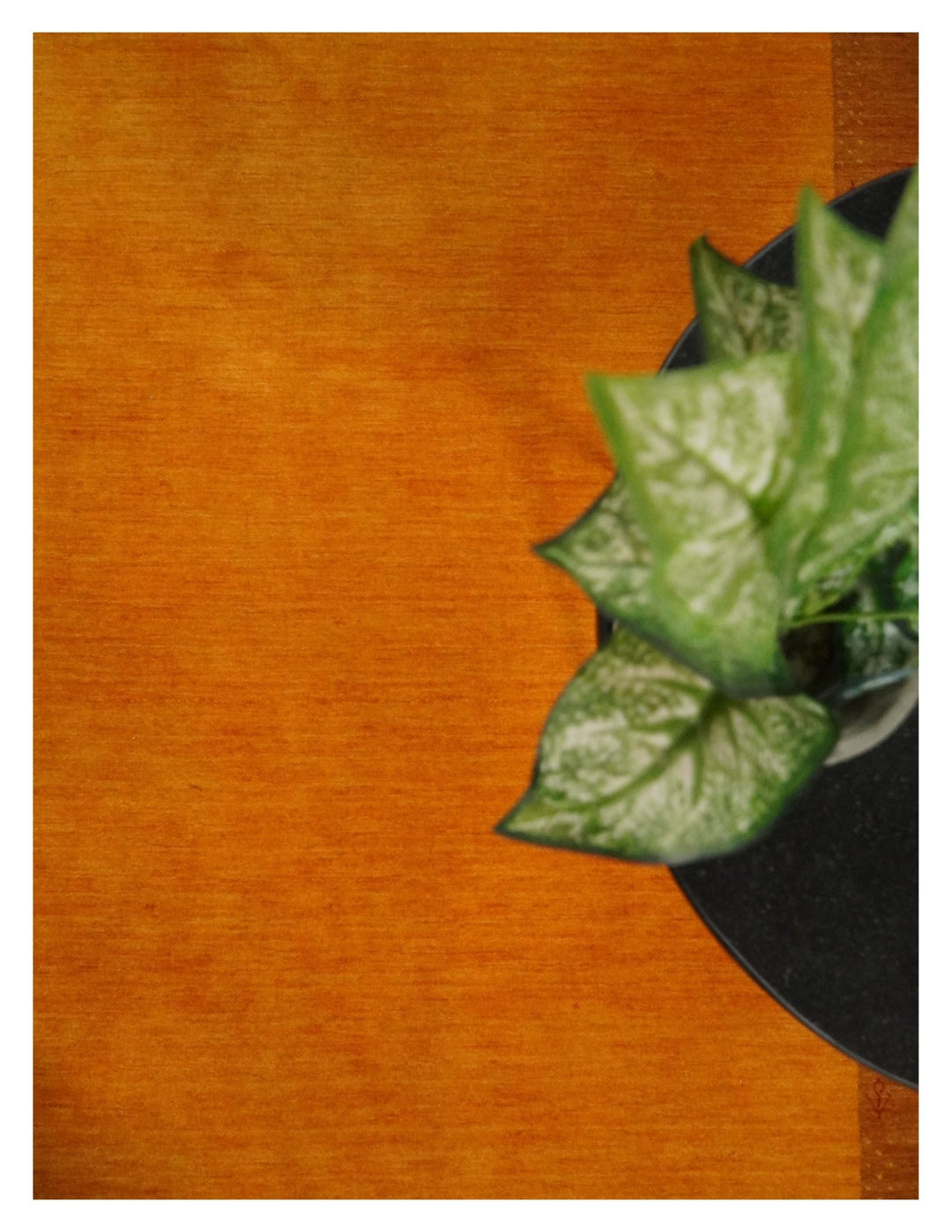 4x6 Small Rust and Brown Farmhouse Wool Hand Woven Southwestern Gabbeh Rug| LOR8 - The Rug Decor