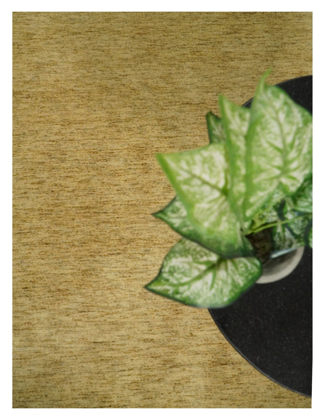 4x6 Small Solid Beige Natural Farmhouse Wool Hand Woven Southwestern Rug| LOR4 - The Rug Decor