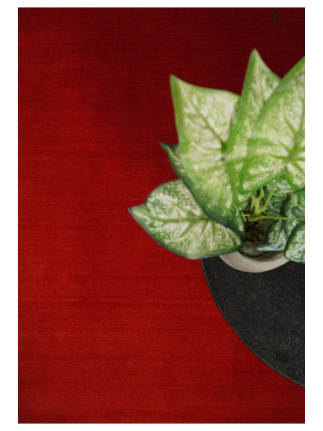 4x6 Small Solid Red Wool Hand Woven Southwestern Gabbeh Rug | LOR23 - The Rug Decor