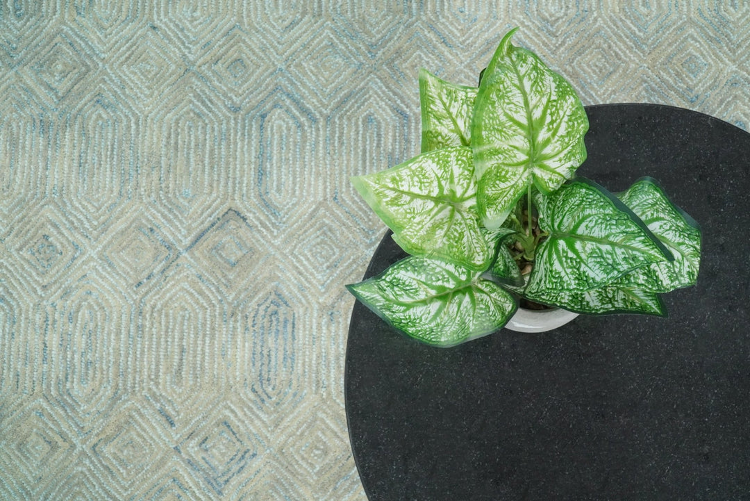 5x8 and 8x10 Hand Made Woolen Modern Camel and Blue Area Rug | EVE004 - The Rug Decor