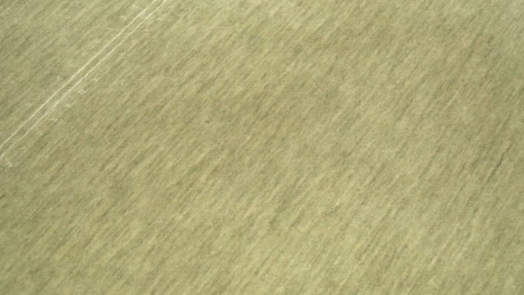 4x6 Small Solid Beige Wool Hand Woven Southwestern Gabbeh Rug | LOR11