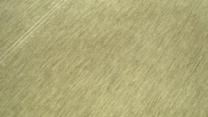 4x6 Small Solid Beige Wool Hand Woven Southwestern Gabbeh Rug | LOR11