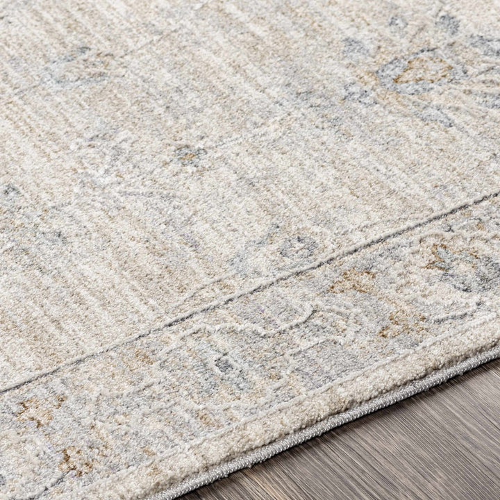 Antique Look Floral Beige and Charcoal Traditional Design Area Rug - The Rug Decor