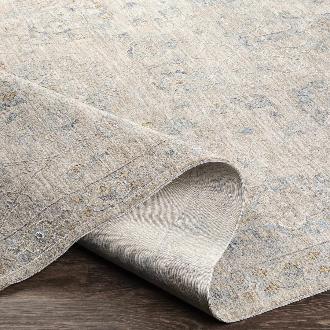 Antique Look Floral Beige and Charcoal Traditional Design Area Rug - The Rug Decor