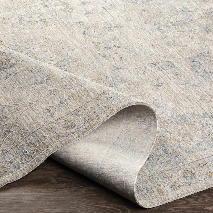 Antique Look Floral Beige and Charcoal Traditional Design Area Rug - The Rug Decor