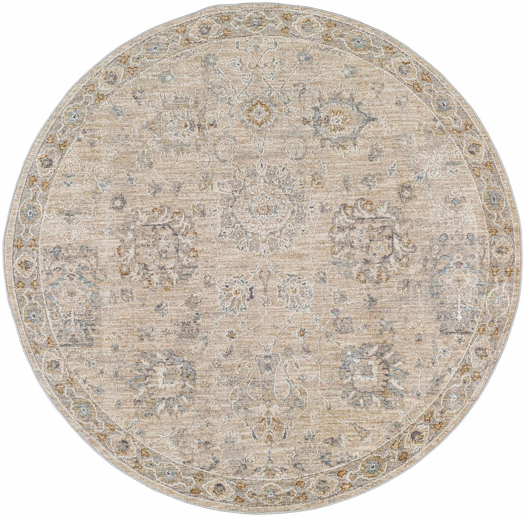 Antique Look Floral Beige and Charcoal Traditional Design Area Rug - The Rug Decor