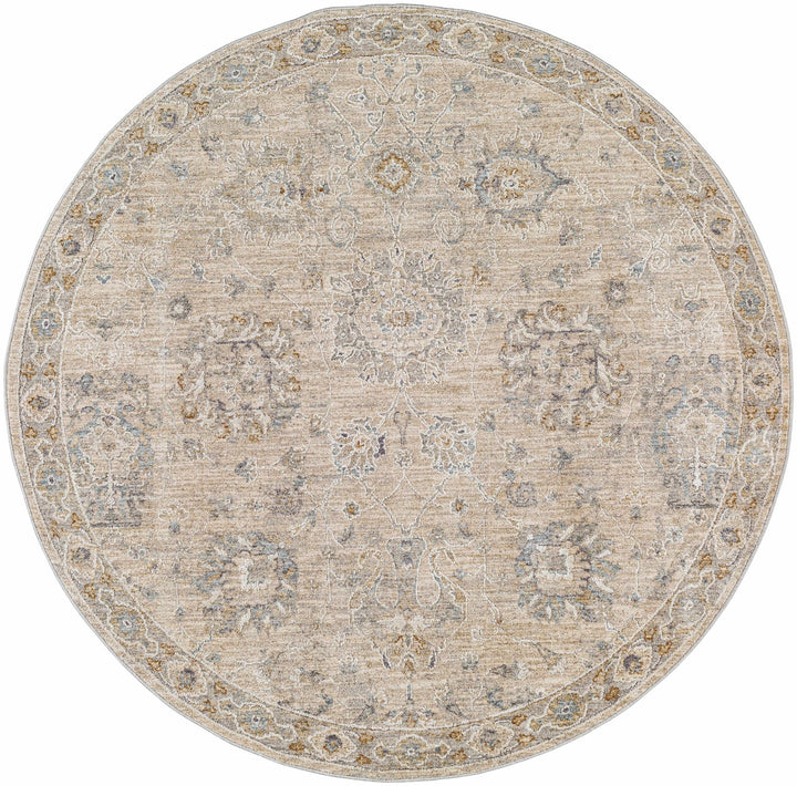 Antique Look Floral Beige and Charcoal Traditional Design Area Rug - The Rug Decor