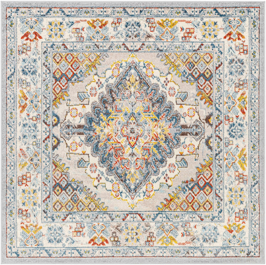 Antique look Traditional Machine Woven Tan, Charcoal, Ivory and Rust Multi Size Rug - The Rug Decor