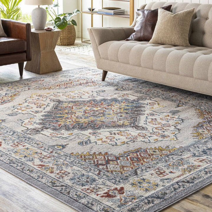 Antique look Traditional Machine Woven Tan, Charcoal, Ivory and Rust Multi Size Rug - The Rug Decor